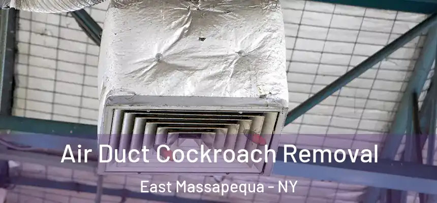 Air Duct Cockroach Removal East Massapequa - NY