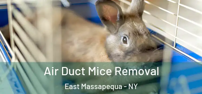 Air Duct Mice Removal East Massapequa - NY