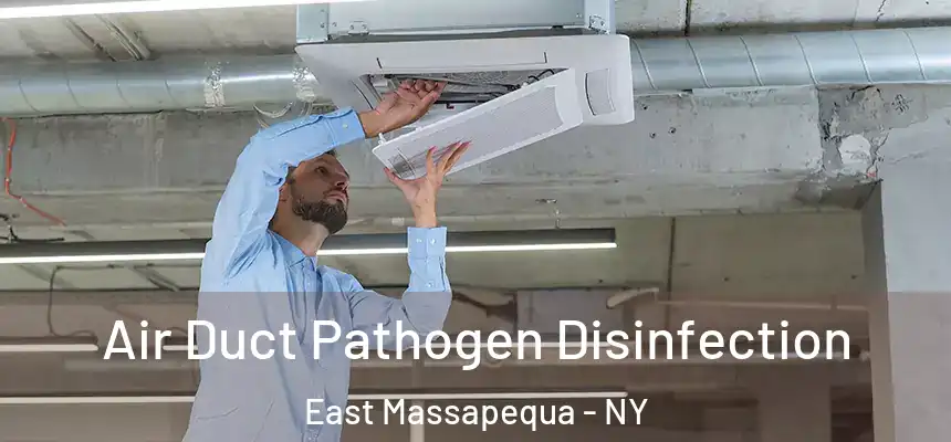 Air Duct Pathogen Disinfection East Massapequa - NY