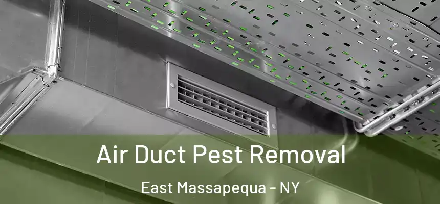  Air Duct Pest Removal East Massapequa - NY