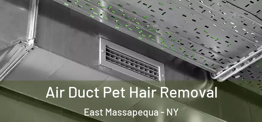 Air Duct Pet Hair Removal East Massapequa - NY