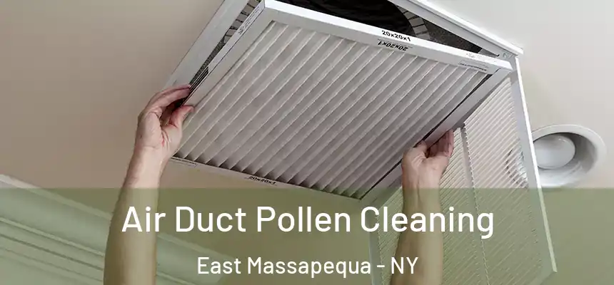  Air Duct Pollen Cleaning East Massapequa - NY