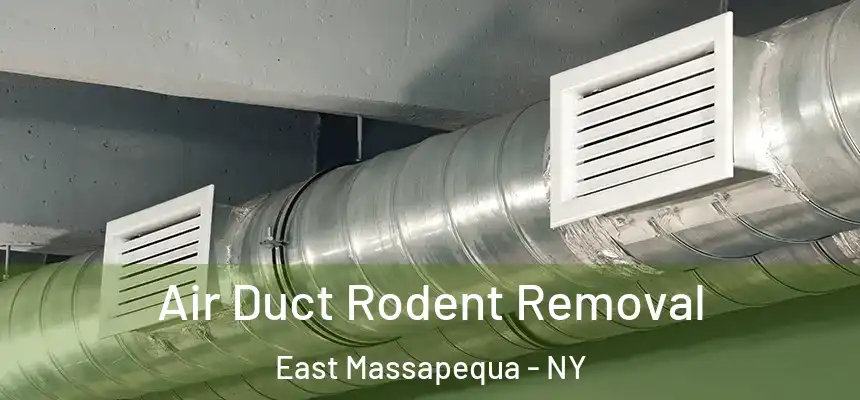  Air Duct Rodent Removal East Massapequa - NY
