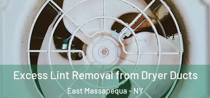  Excess Lint Removal from Dryer Ducts East Massapequa - NY