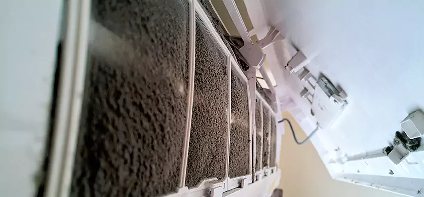 Preventive Air Duct Bacteria Removal in East Massapequa