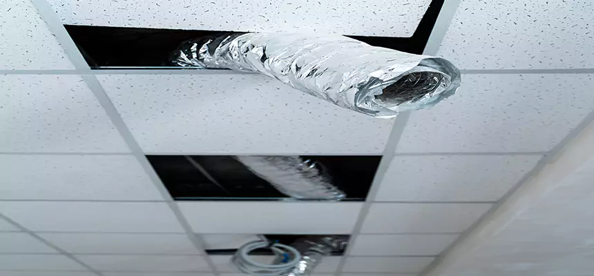 Our Air Duct Pet Hair Removal Services in East Massapequa, NY