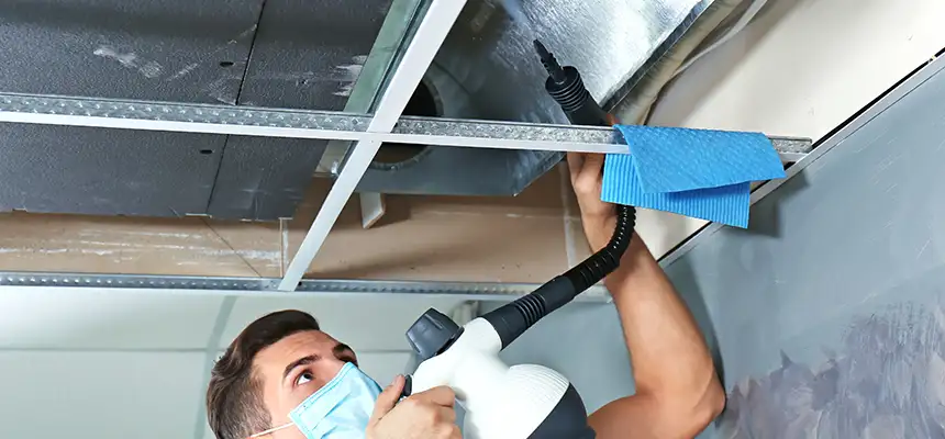 Our Air Duct Rodent Removal Services in East Massapequa, NY