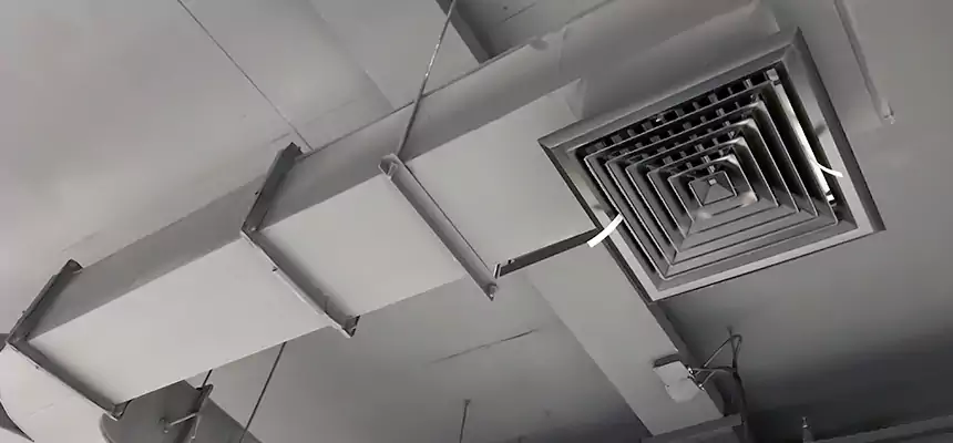 Restorative Allergy Relief Vent Cleaning – Coil, Blower & Housing Detail in East Massapequa