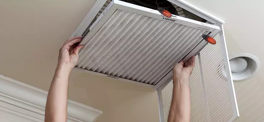 Our Insect Removal from Air Ducts Services in East Massapequa, NY