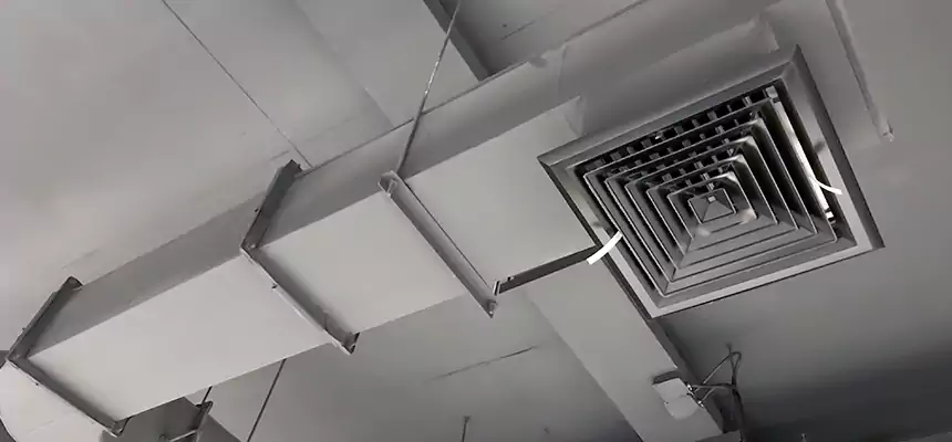 Our Pest Removal From Ducts Services in East Massapequa, NY