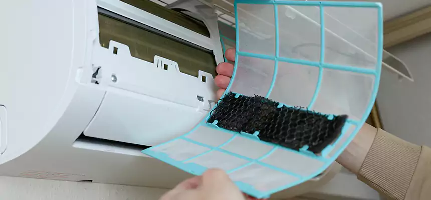 Gentle Ductwork Odor-Control Pet Dander Duct Cleaning in East Massapequa, NY