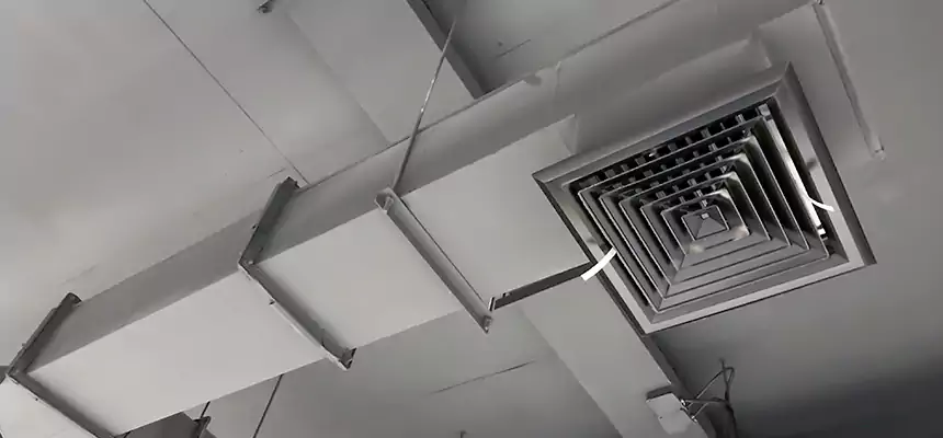 Our Rodent Droppings In Vents Services in East Massapequa, NY