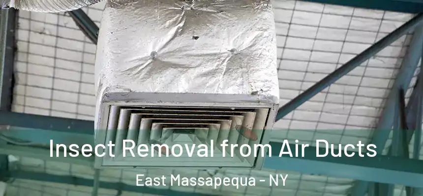  Insect Removal from Air Ducts East Massapequa - NY