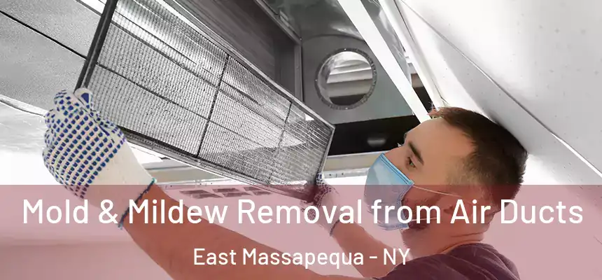  Mold & Mildew Removal from Air Ducts East Massapequa - NY