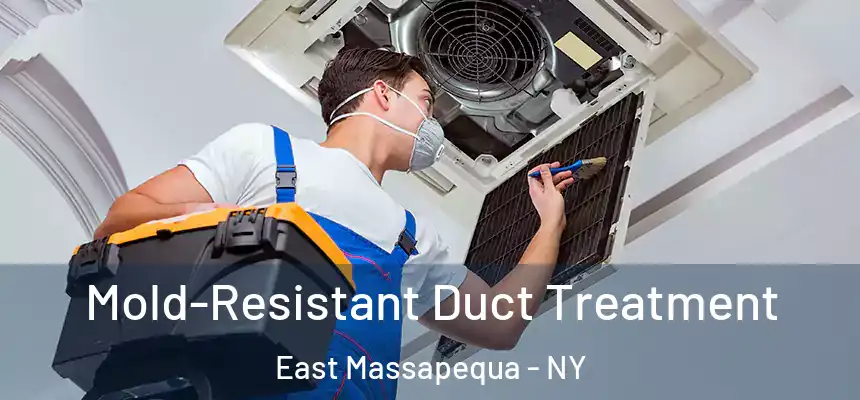  Mold-Resistant Duct Treatment East Massapequa - NY