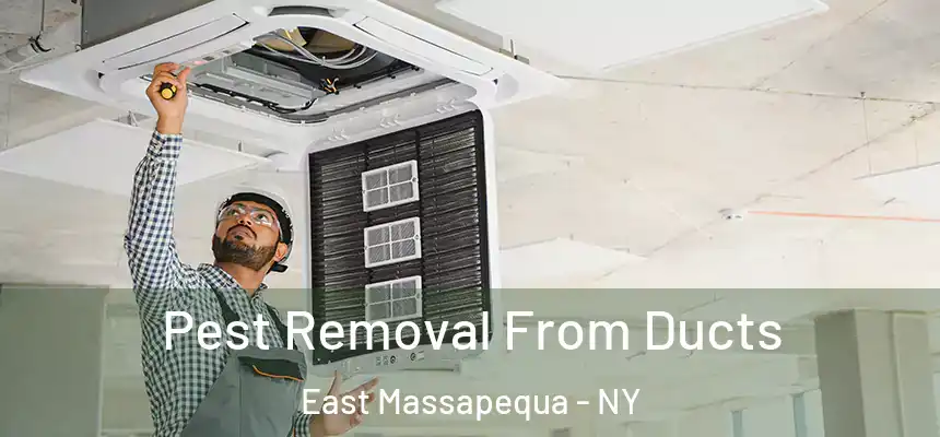  Pest Removal From Ducts East Massapequa - NY