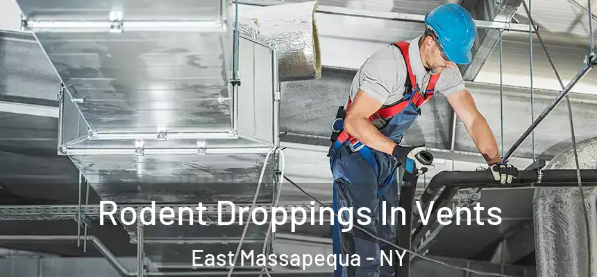  Rodent Droppings In Vents East Massapequa - NY