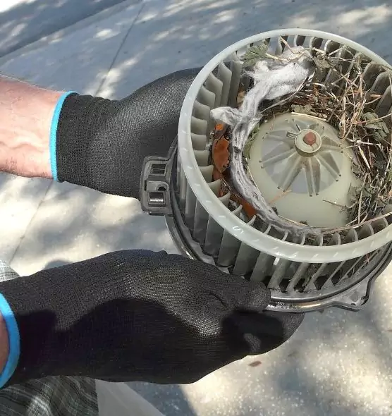 About Air Duct Rat Removal in East Massapequa, NY