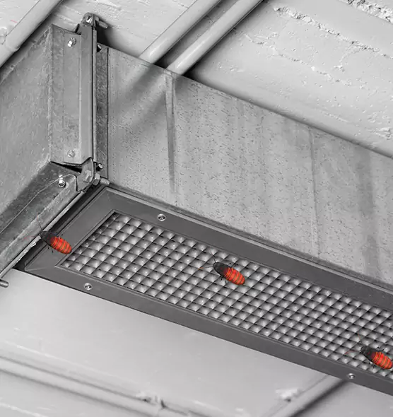 Affordable Insect Removal from Air Ducts in East Massapequa, NY