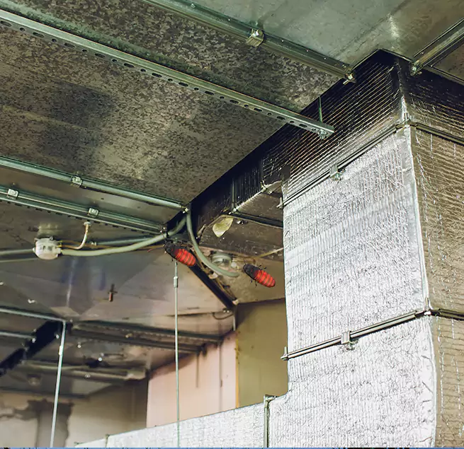 Why Homeowners & Businesses Trust Us in East Massapequa, NY?