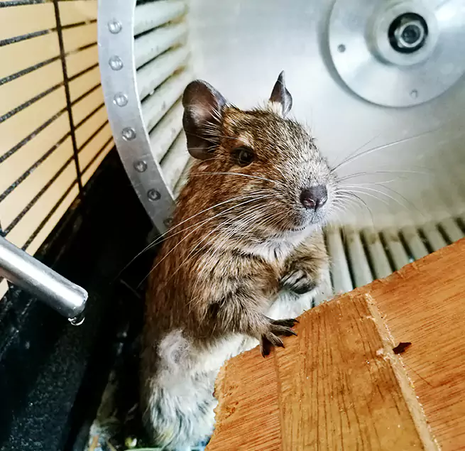 Why Homeowners & Businesses Trust Us East Massapequa, NY?