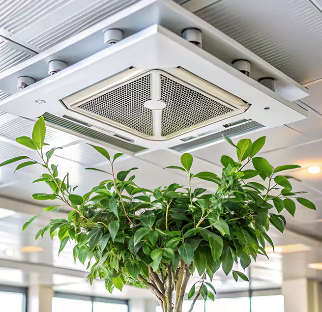 Why Homeowners & Businesses Trust Us in East Massapequa, NY?