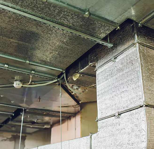 Why Homeowners & Businesses Trust Us in East Massapequa, NY?