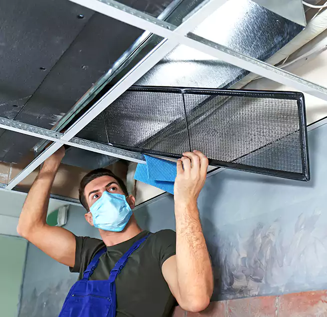 Why Homeowners Businesses Trust Us in East Massapequa, NY